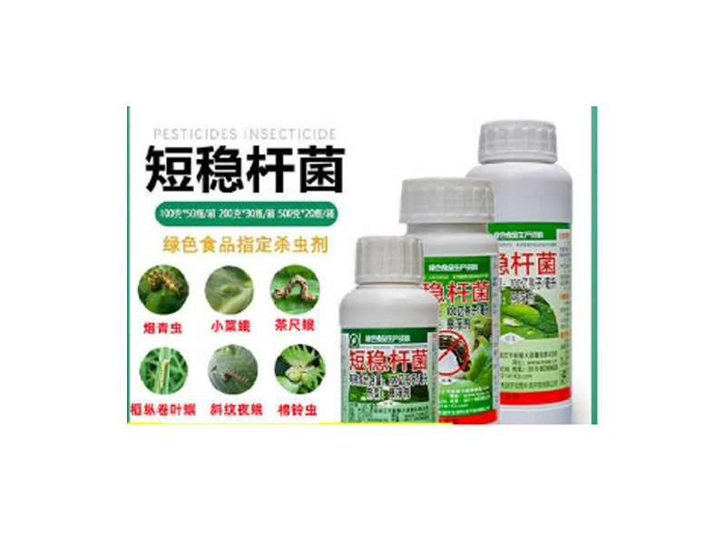 短稳杆菌