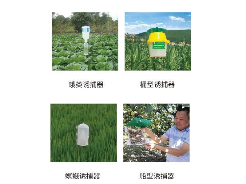 昆虫性信息素/诱捕器